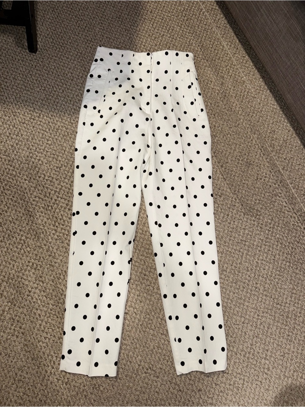 Zara Polka Dot pants -Small